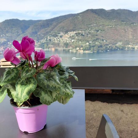Luxury Room La Terrazza Sul Lago Di Como Blevio Exteriör bild