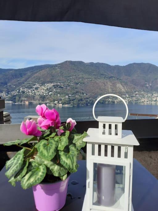 Luxury Room La Terrazza Sul Lago Di Como Blevio Exteriör bild